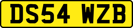 DS54WZB