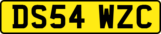 DS54WZC