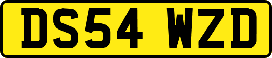 DS54WZD