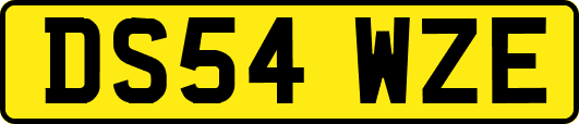 DS54WZE