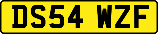 DS54WZF