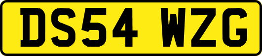 DS54WZG
