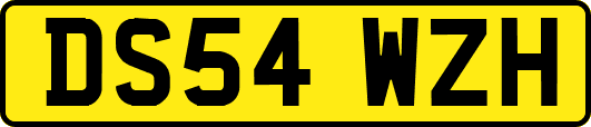 DS54WZH
