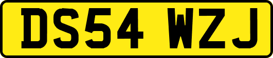 DS54WZJ