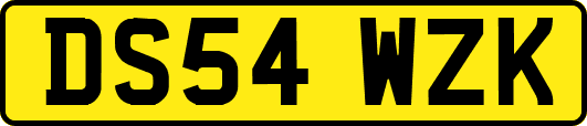 DS54WZK