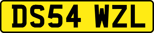 DS54WZL