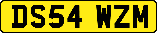 DS54WZM