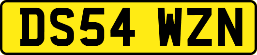 DS54WZN
