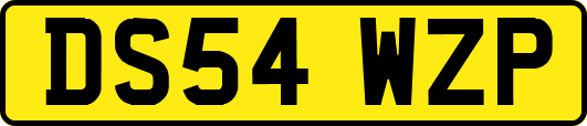 DS54WZP
