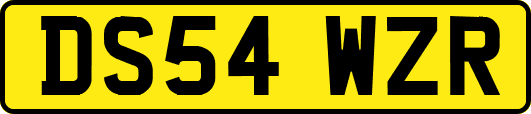 DS54WZR