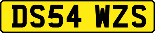 DS54WZS