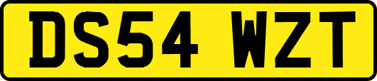 DS54WZT