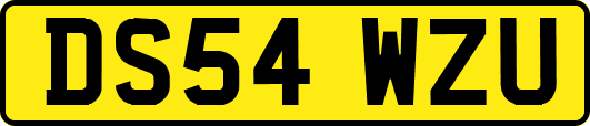 DS54WZU