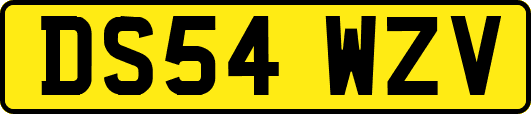 DS54WZV