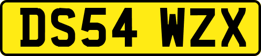 DS54WZX