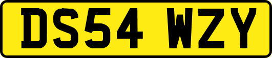 DS54WZY