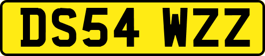 DS54WZZ