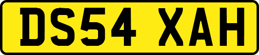 DS54XAH