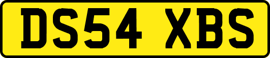 DS54XBS