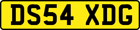 DS54XDG