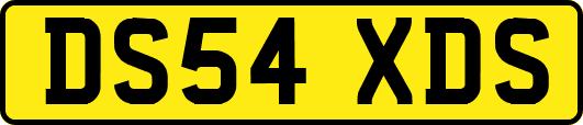 DS54XDS