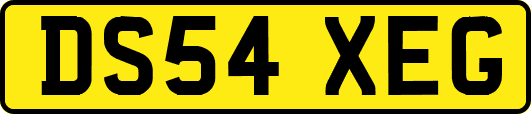 DS54XEG