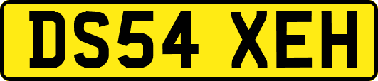 DS54XEH
