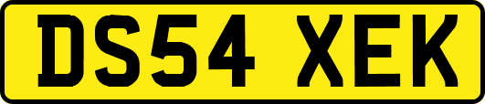 DS54XEK