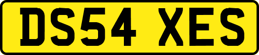DS54XES
