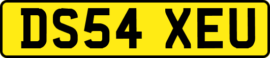 DS54XEU