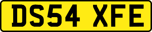 DS54XFE