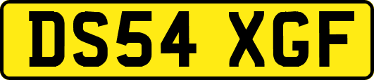 DS54XGF