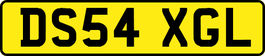 DS54XGL