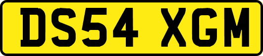 DS54XGM