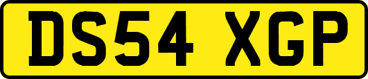 DS54XGP