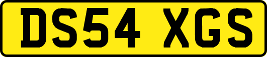 DS54XGS