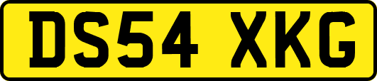 DS54XKG