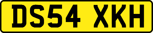 DS54XKH