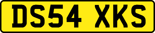 DS54XKS