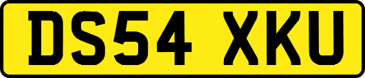 DS54XKU