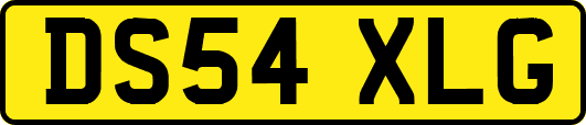 DS54XLG