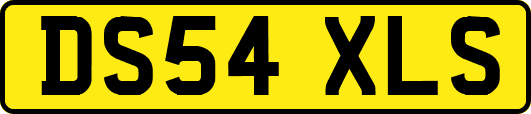 DS54XLS