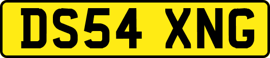 DS54XNG