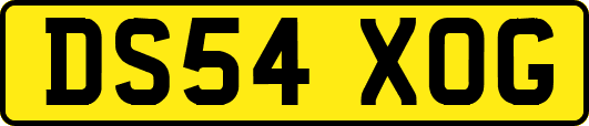 DS54XOG