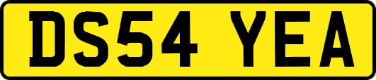DS54YEA