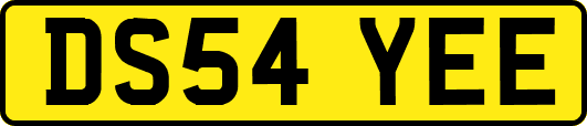 DS54YEE