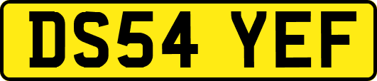 DS54YEF