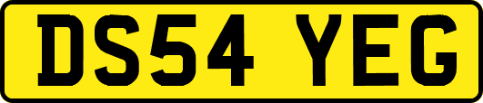 DS54YEG