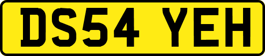 DS54YEH