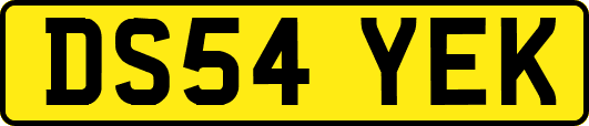 DS54YEK